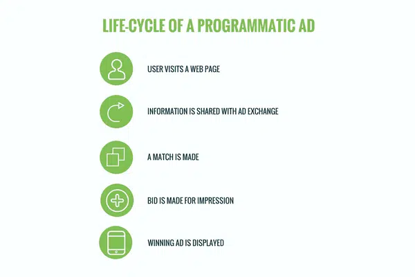 Lifecycle Programmatic Ad